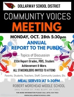 COMMUNITY VOICES: ANNUAL REPORT TO THE PUBLIC